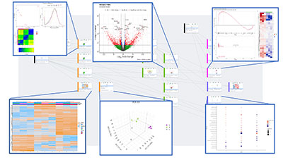 NIDAP workflow example 1