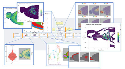 NIDAP workflow example 2