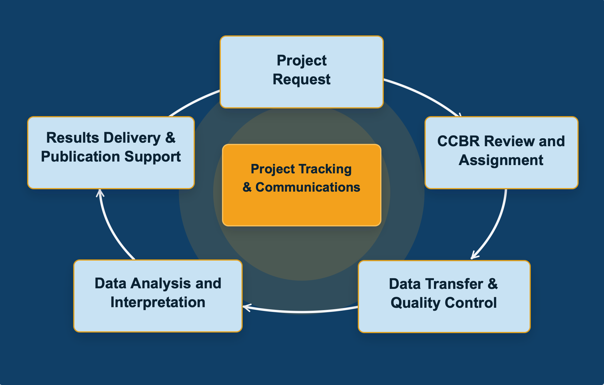 CCBR support process workflow diagram