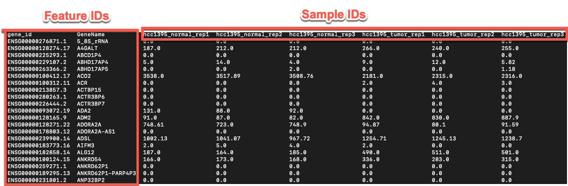 Example count matrix