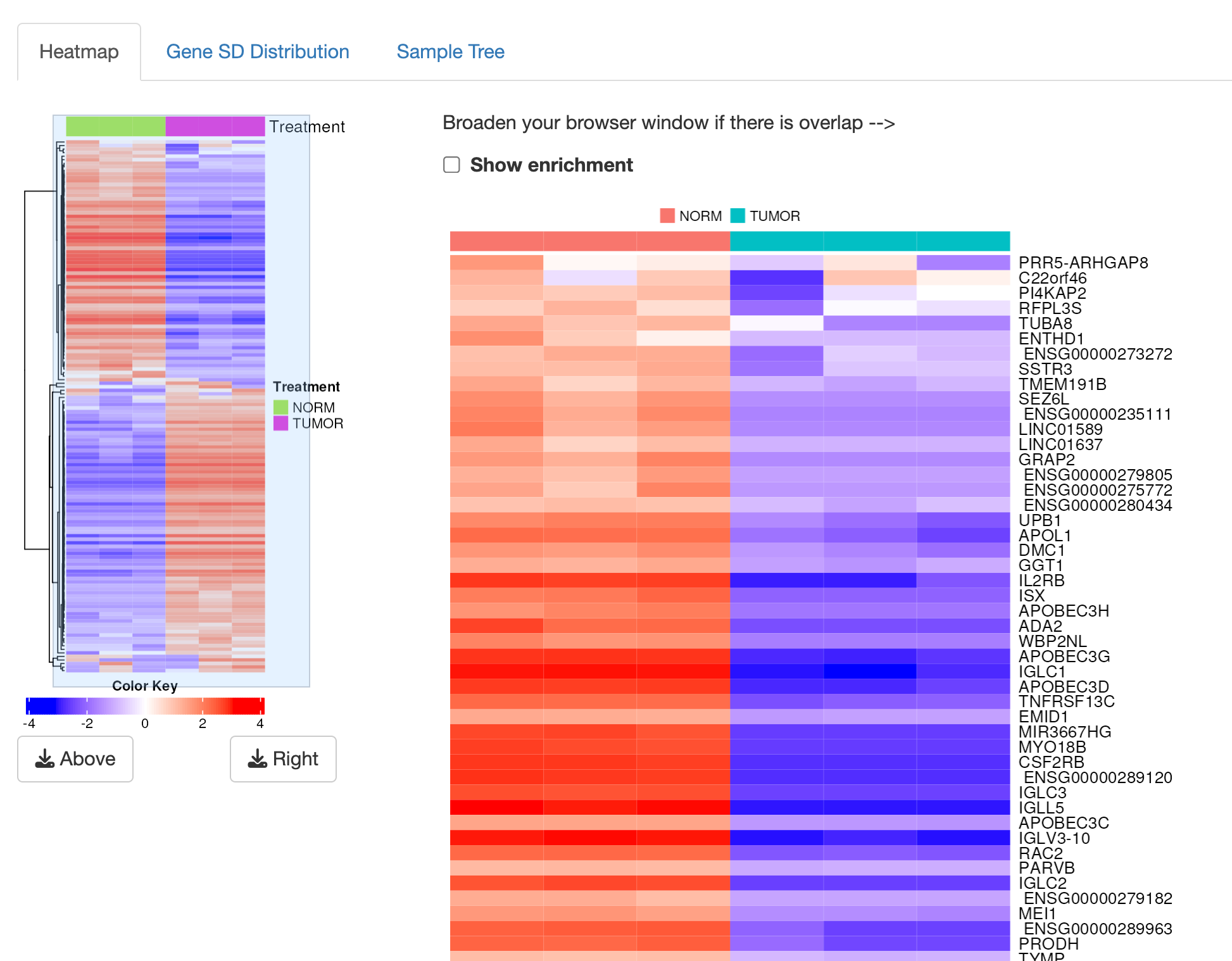 Hierarchical clustering of samples and genes