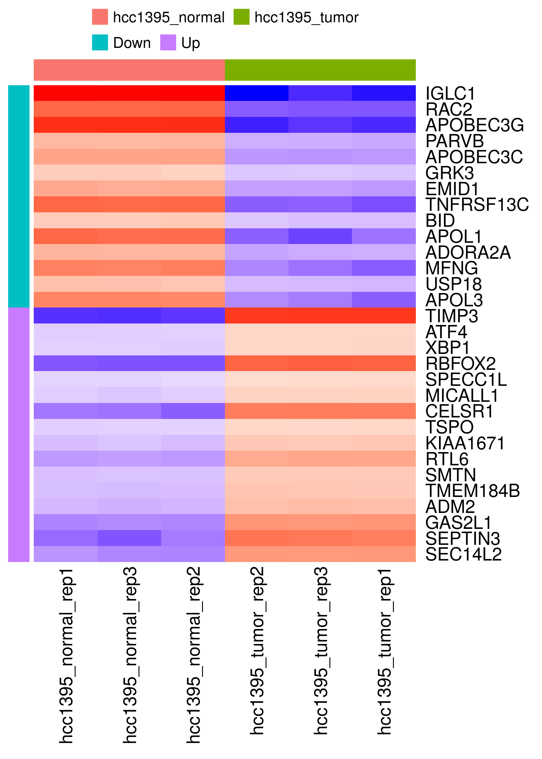 Heatmap of top differentially expressed genes