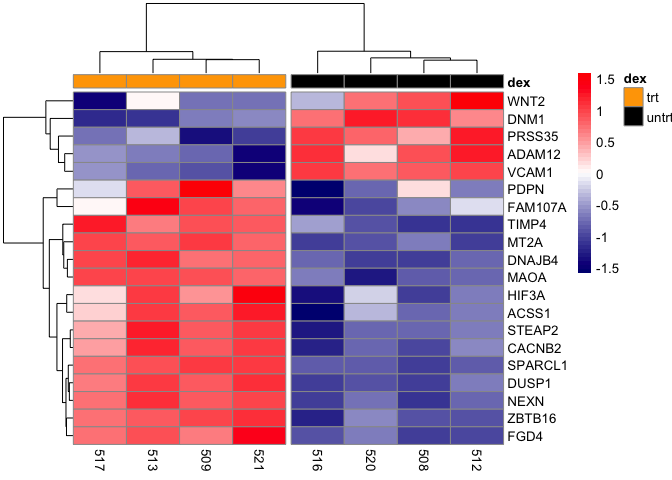 Lesson5 Visualizing Clusters With Heatmap And Dendrogram Data Visualization With R