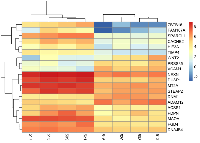 Dendrogram of grouping analysis plotted using the scores of the