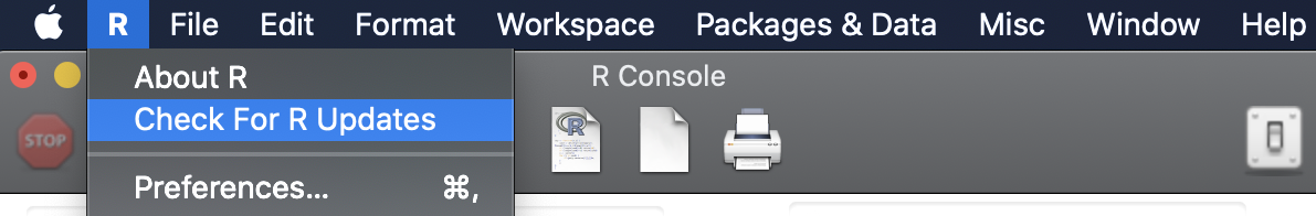 Installing%20RStudio%20Desktop%20on%20the%20Mac%20c81e22d4d4ea44cea2e5ab459c872765/Rconsole.png